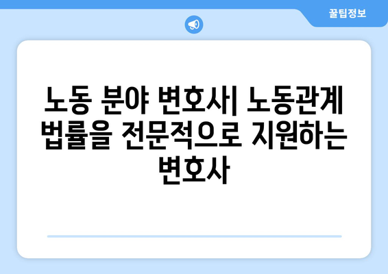 다양한 변호사 전문 분야: 어떤 분야가 있을까?