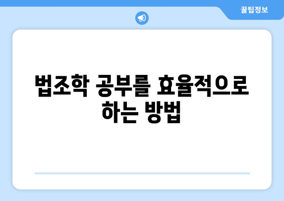 변호사 자격증 취득 방법: 준비 과정 안내