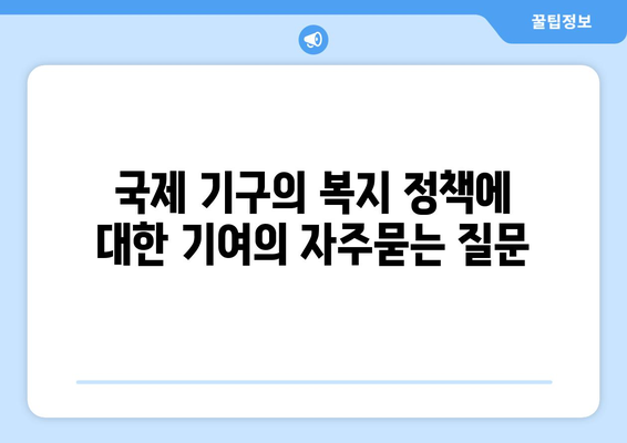 국제 기구의 복지 정책에 대한 기여