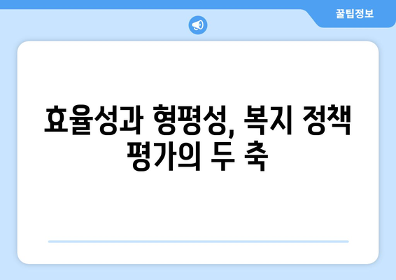 복지 정책 성과 평가를 위한 기준