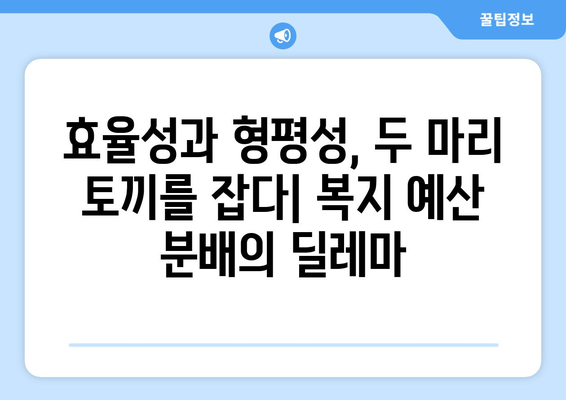 복지 예산의 공정한 분배 방안