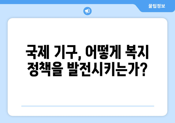 국제 기구의 복지 정책에 대한 기여