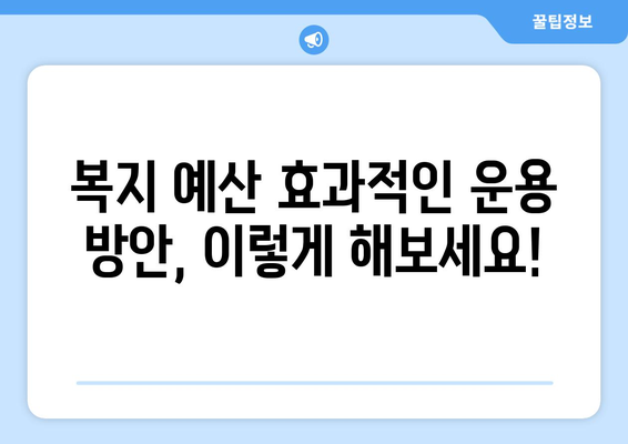 복지 예산의 효과적인 운용 방안