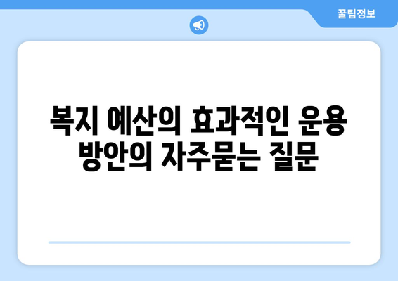 복지 예산의 효과적인 운용 방안