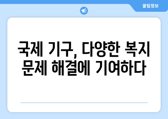 국제 기구의 복지 정책에 대한 기여