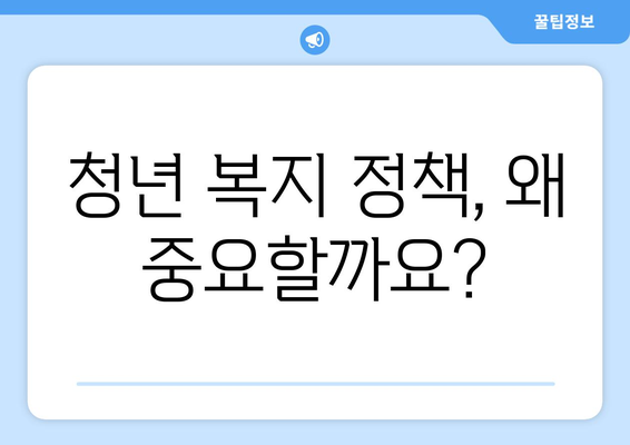 청년 복지 정책의 필요성과 발전 방향