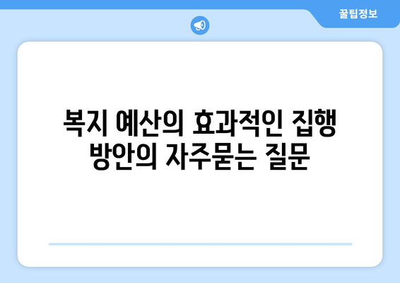 복지 예산의 효과적인 집행 방안