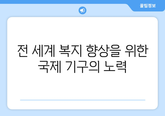 국제 기구의 복지 정책에 대한 기여