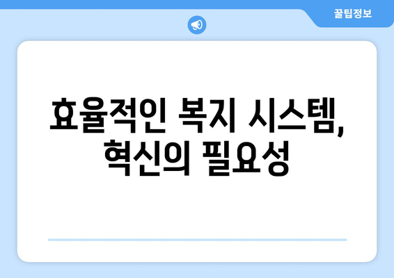 복지 정책의 지속 가능성과 도전 과제