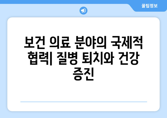 국제적 복지 정책 협력 사례