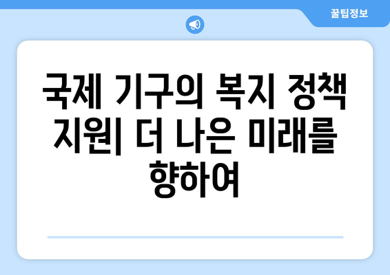 국제 기구의 복지 정책에 대한 기여